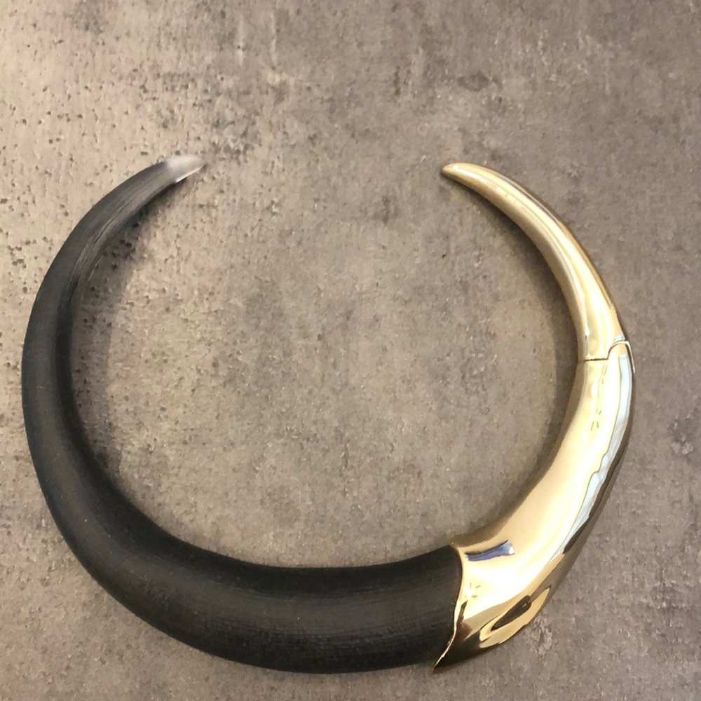 Alexis Bittar Necklace